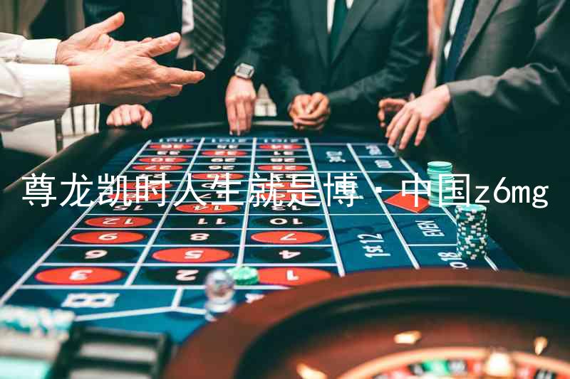 尊龙凯时人生就是博·中国z6mg