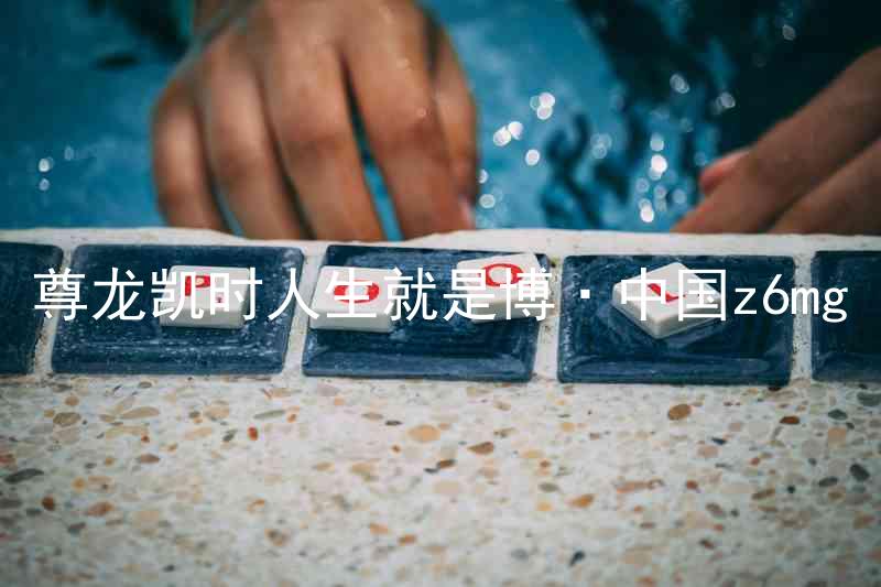 尊龙凯时人生就是博·中国z6mg